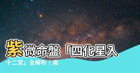 宮飛星|十二宮位的飛星專論